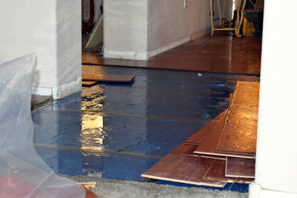 Professional Emergency Water Damage Restoration technician working in Lawn, PA